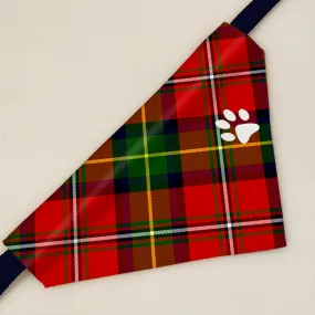Boyd Modern Tartan Pet Bandana