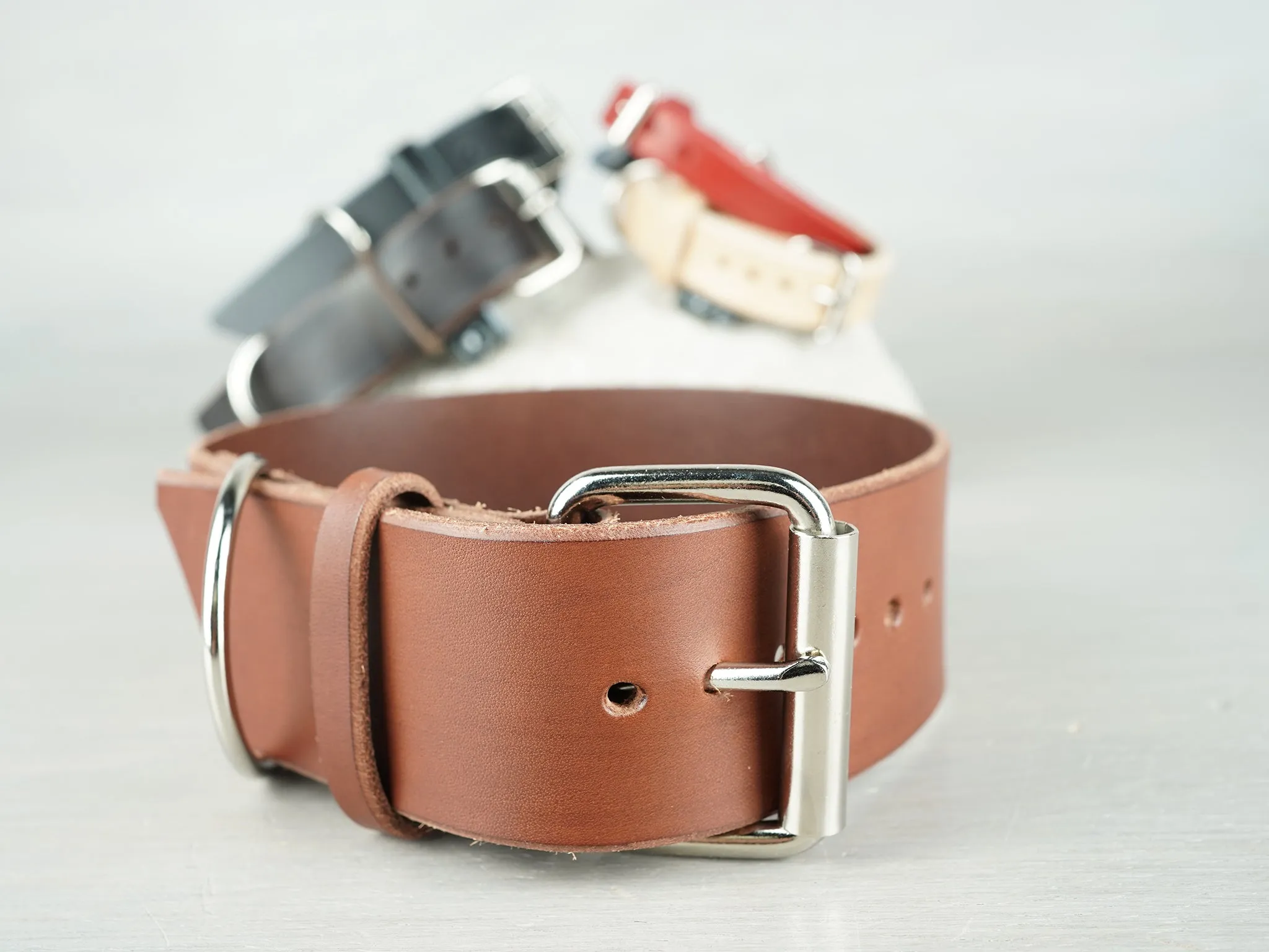 Classic Leather Dog Collars in 5 Colors