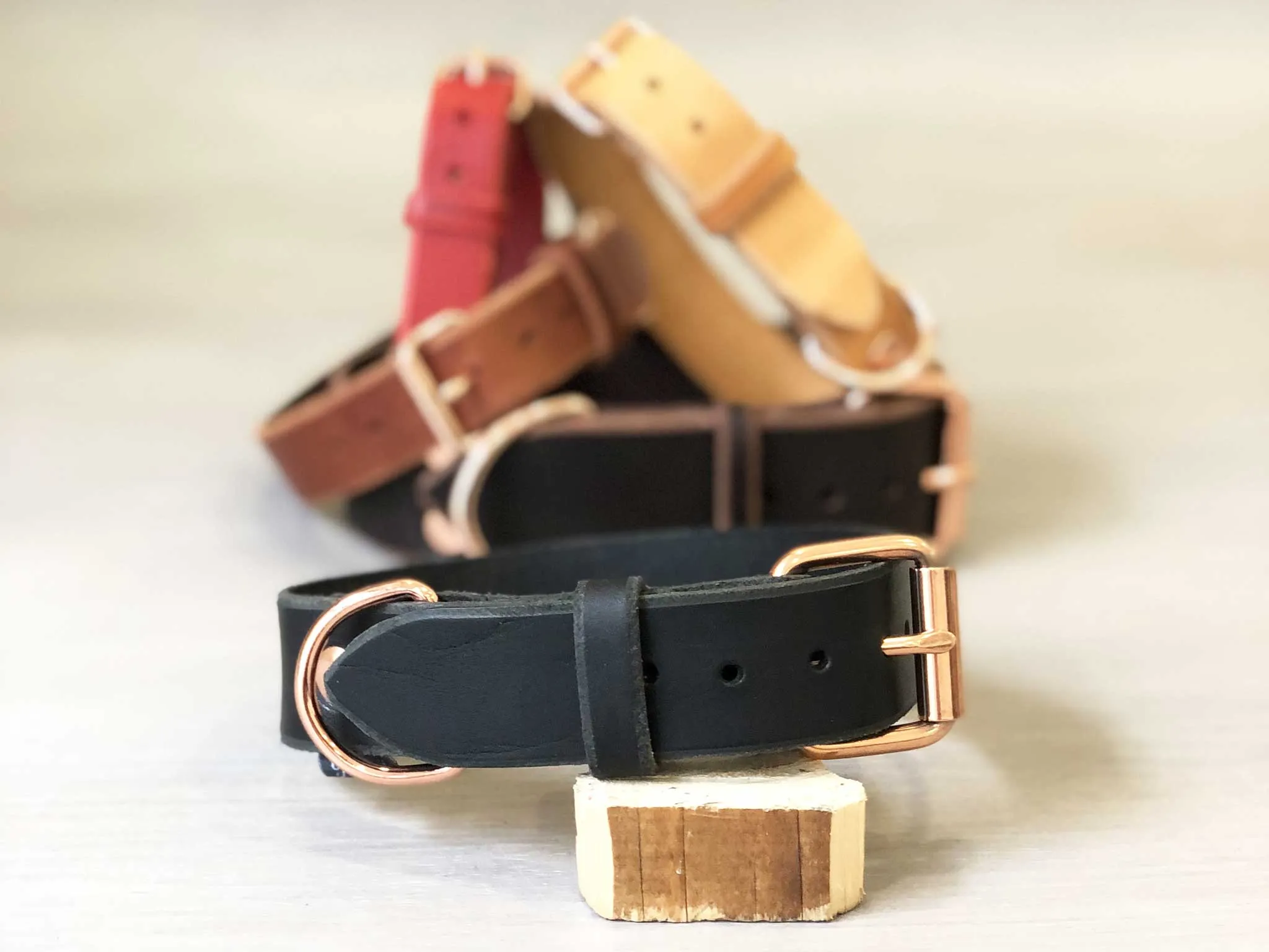 Classic Leather Dog Collars in 5 Colors