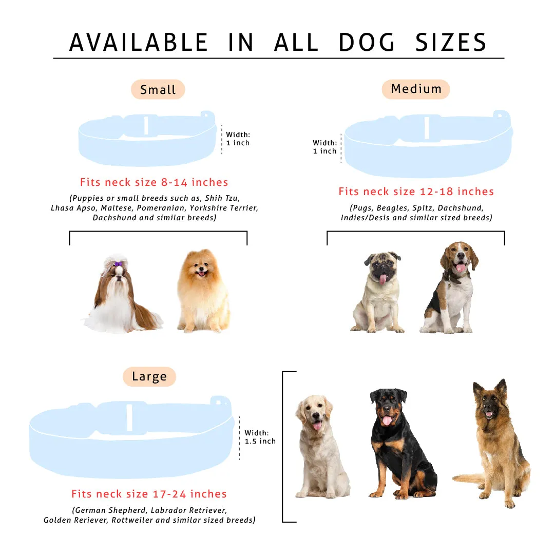 Dog Collar Neck Belt - Space Dog