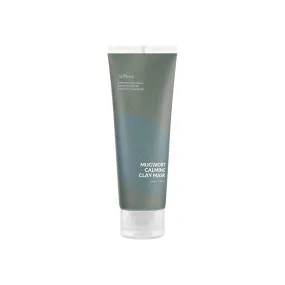 Isntree Mugwort Calming Clay Mask