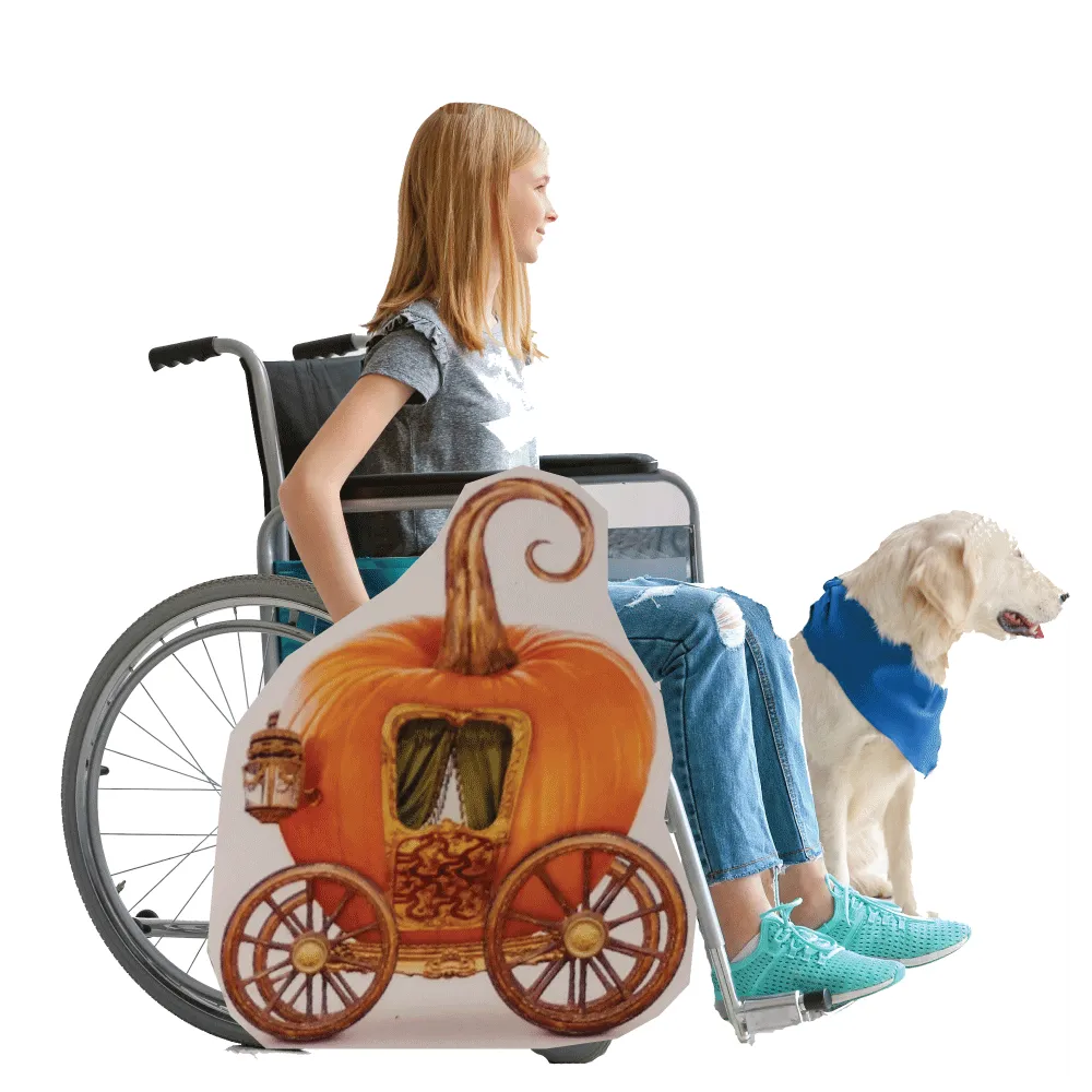 Pumpkin Carriage Wheelchair Costume Child's