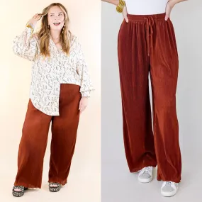 What You Admire Plissé Drawstring Pants in Rust Brown